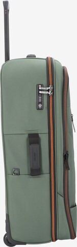 Delsey Paris Travel Bag in Green