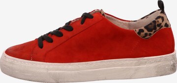 Paul Green Sneakers in Red: front