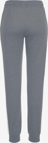 BENCH Tapered Pants in Grey