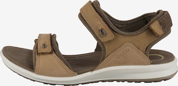 ECCO Hiking Sandals 'Cruise II' in Brown