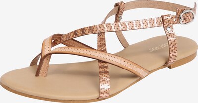 ABOUT YOU Zehentrenner 'Enie' in cognac | ABOUT YOU ABOUT YOU Zehentrenner 'Enie' in cognac | ABOUT YOU