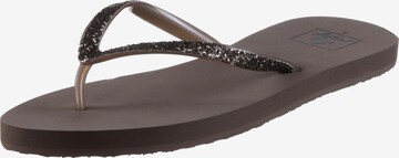 REEF Beach & Pool Shoes 'Stargazer' in Brown: front