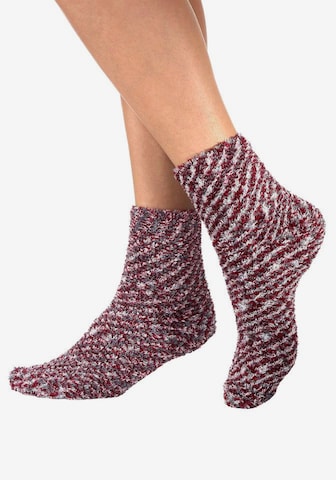 Chaussettes LAVANA en mélange de couleurs : devant