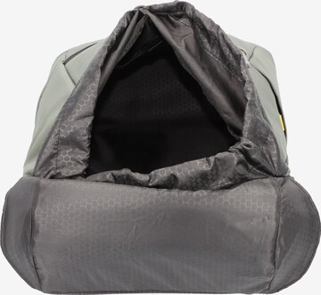 Roncato Rucksack 'Rover' in Grau