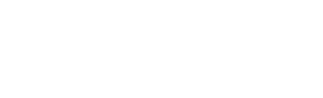 Alessandro Salvarini Logo