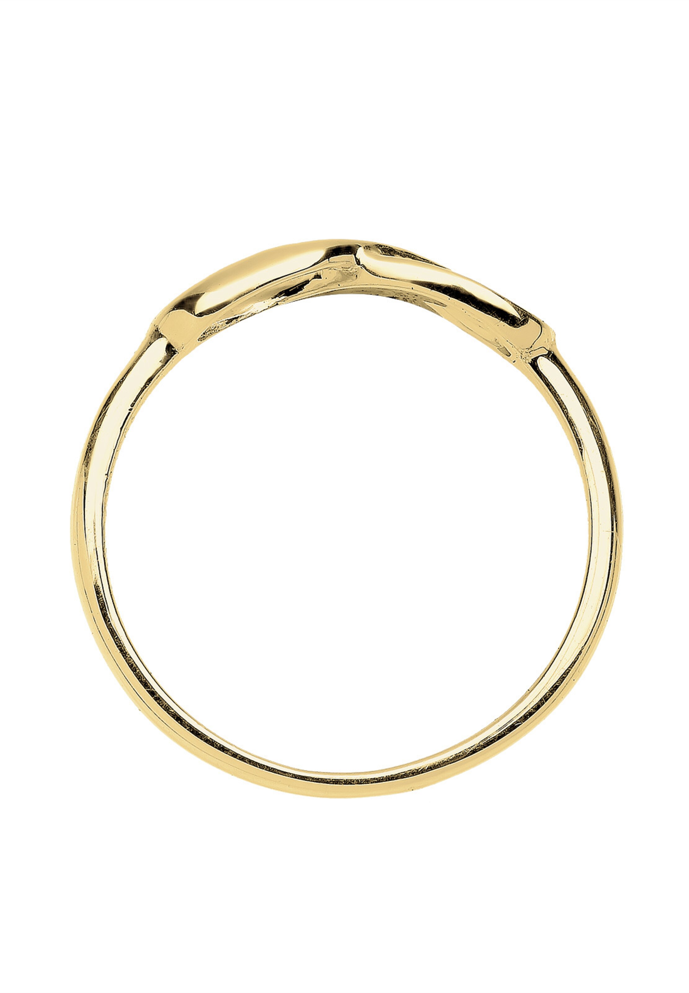 ELLI PREMIUM Ring 'Infinity' in Goud