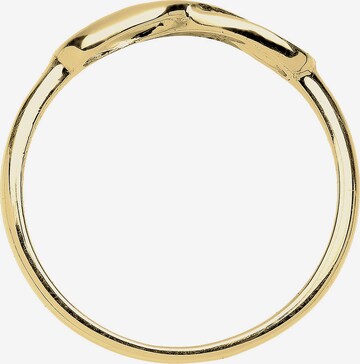 ELLI PREMIUM Ring 'Infinity' in Goud