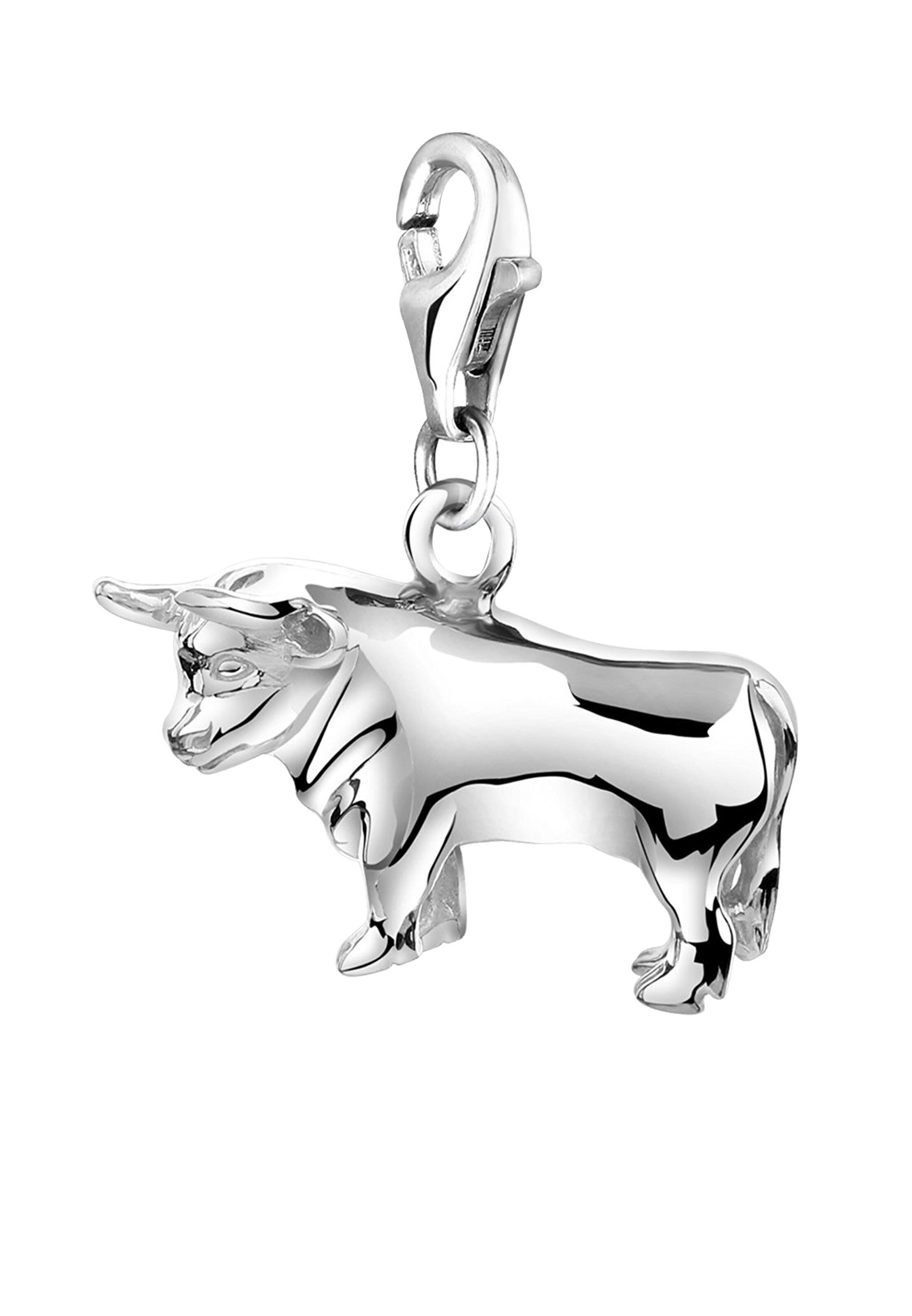 Nenalina Hangers in Zilver: voorkant