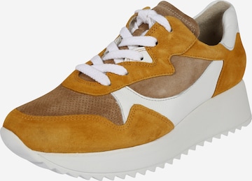 Paul Green Sneaker in Beige: predná strana