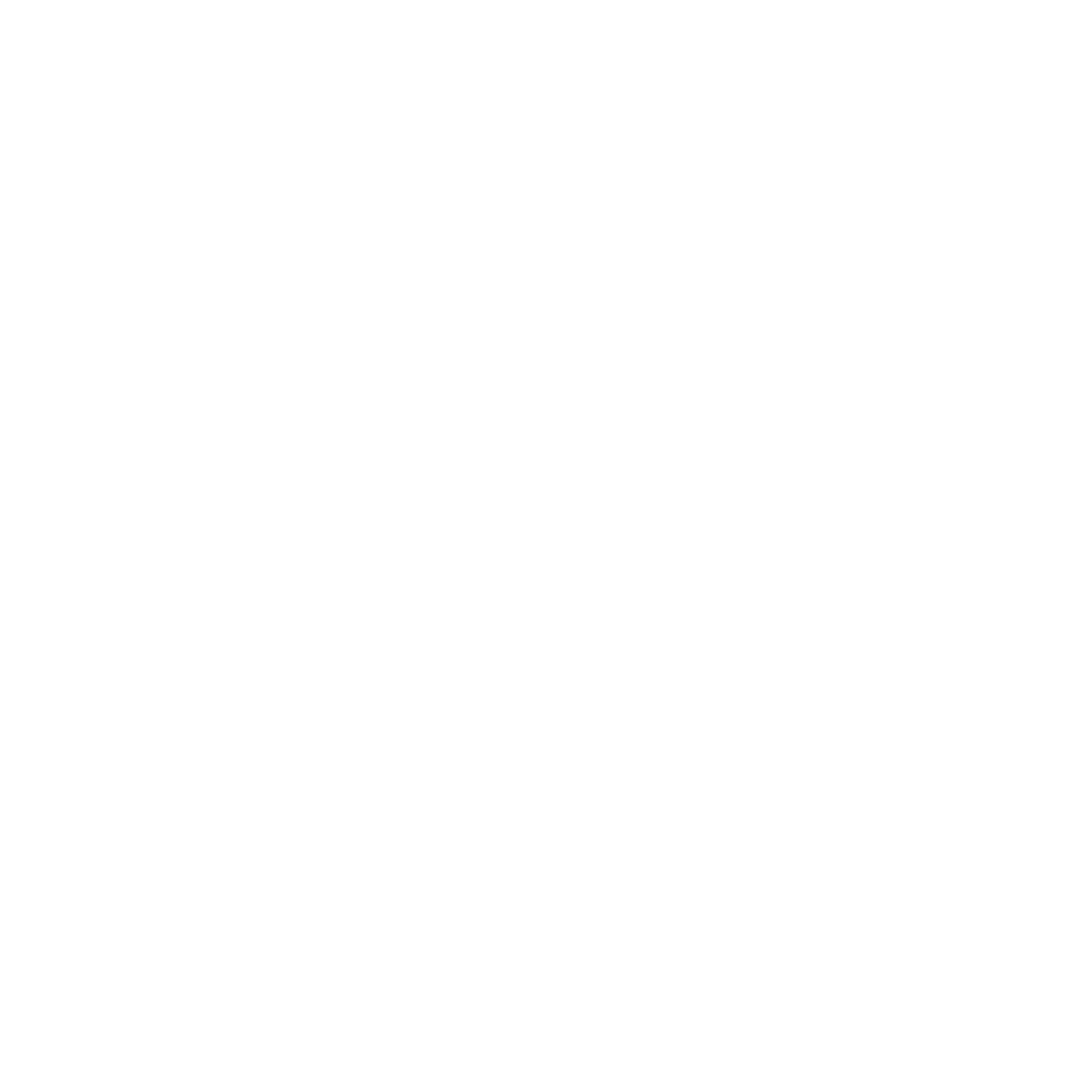 Riani Logo