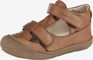 NATURINO Lära-gå-sko 'Puffy' i brun: framsida