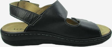 Longo Sandals in Black