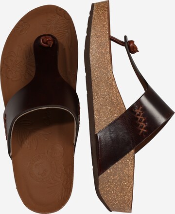 PANAMA JACK T-Bar Sandals 'Quinoa Clay' in Brown