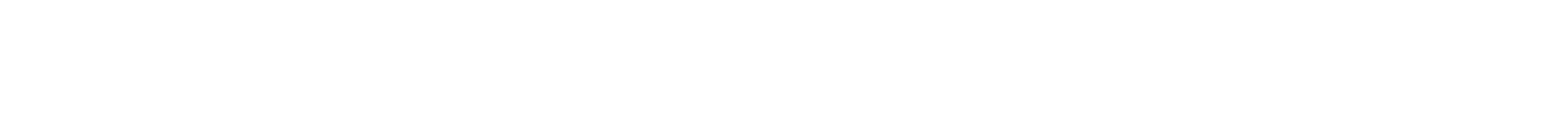 Sofie Schnoor Logo
