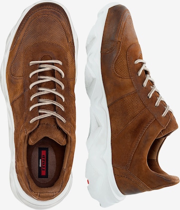 LLOYD Sneaker in Braun