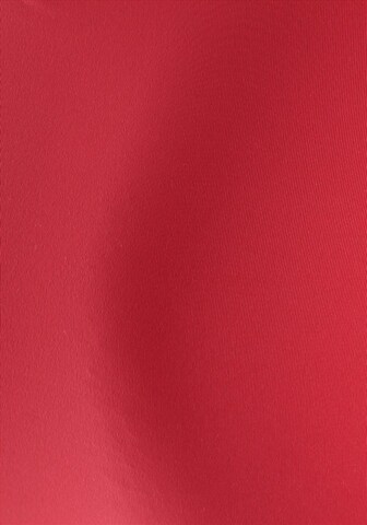 Slip 'Plume' di HOM in rosso