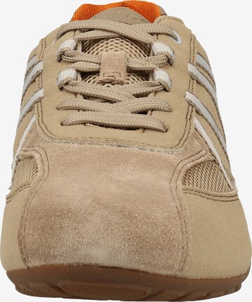 GEOX Sneakers laag 'Ravex' in Beige