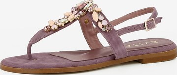 EVITA T-Bar Sandals 'OLIMPIA' in Purple: front