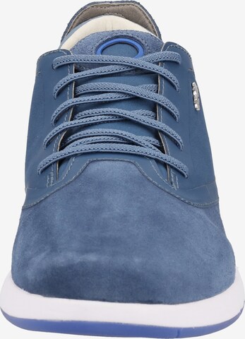 GEOX Sneaker in Blau