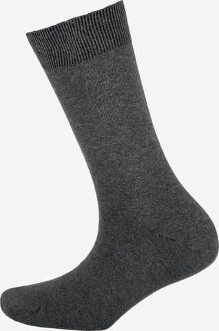 s.Oliver Socks 'Milano' in Grey