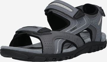 GEOX Hiking Sandals 'Strada' in Grey: front