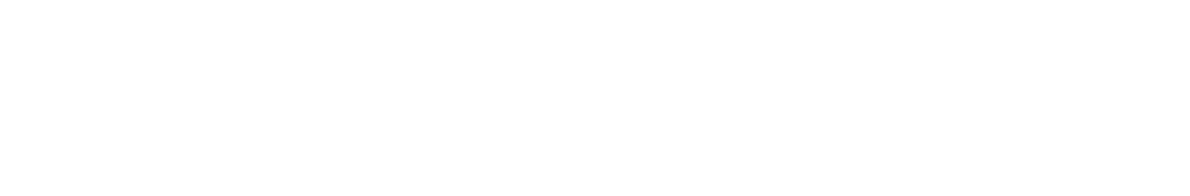 VAGABOND SHOEMAKERS Logo
