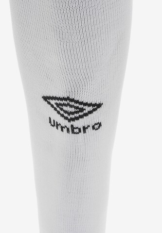 UMBRO Soccer Socks 'Classico' in Grey