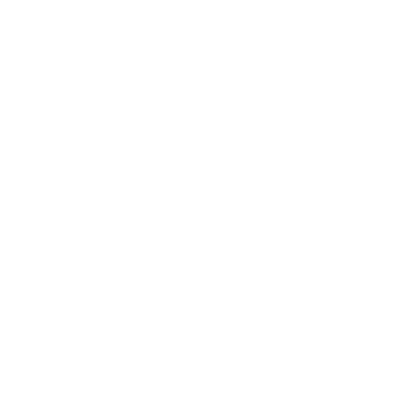 Mastersox Logo