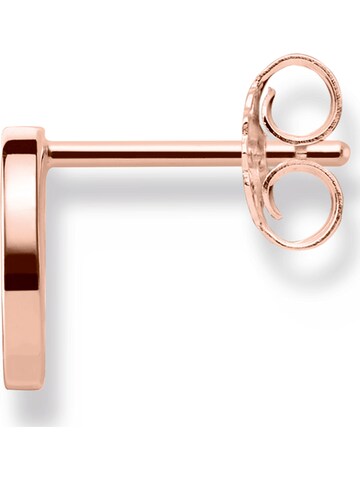 Thomas Sabo Ohrringe in Gold