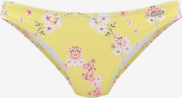 SUNSEEKER - Cueca biquíni 'Ditsy' em amarelo: frente