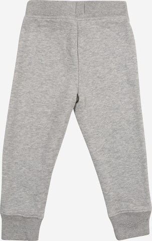 GAP Regular Pants in Grey: back