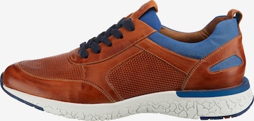 LLOYD Sneakers 'Bandos' in Brown