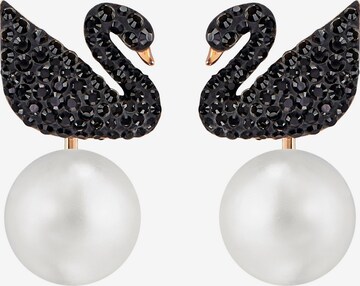 Orecchini 'Iconic Swan' di Swarovski in nero: frontale