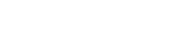 FLIP*FLOP Logo