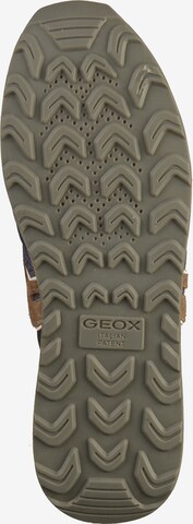 GEOX Sneaker in Blau