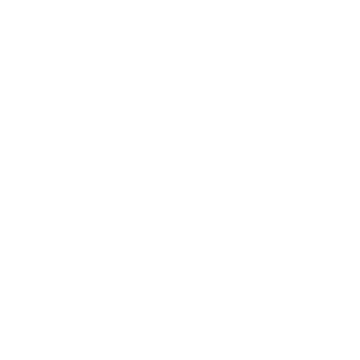 Nicowa Logo