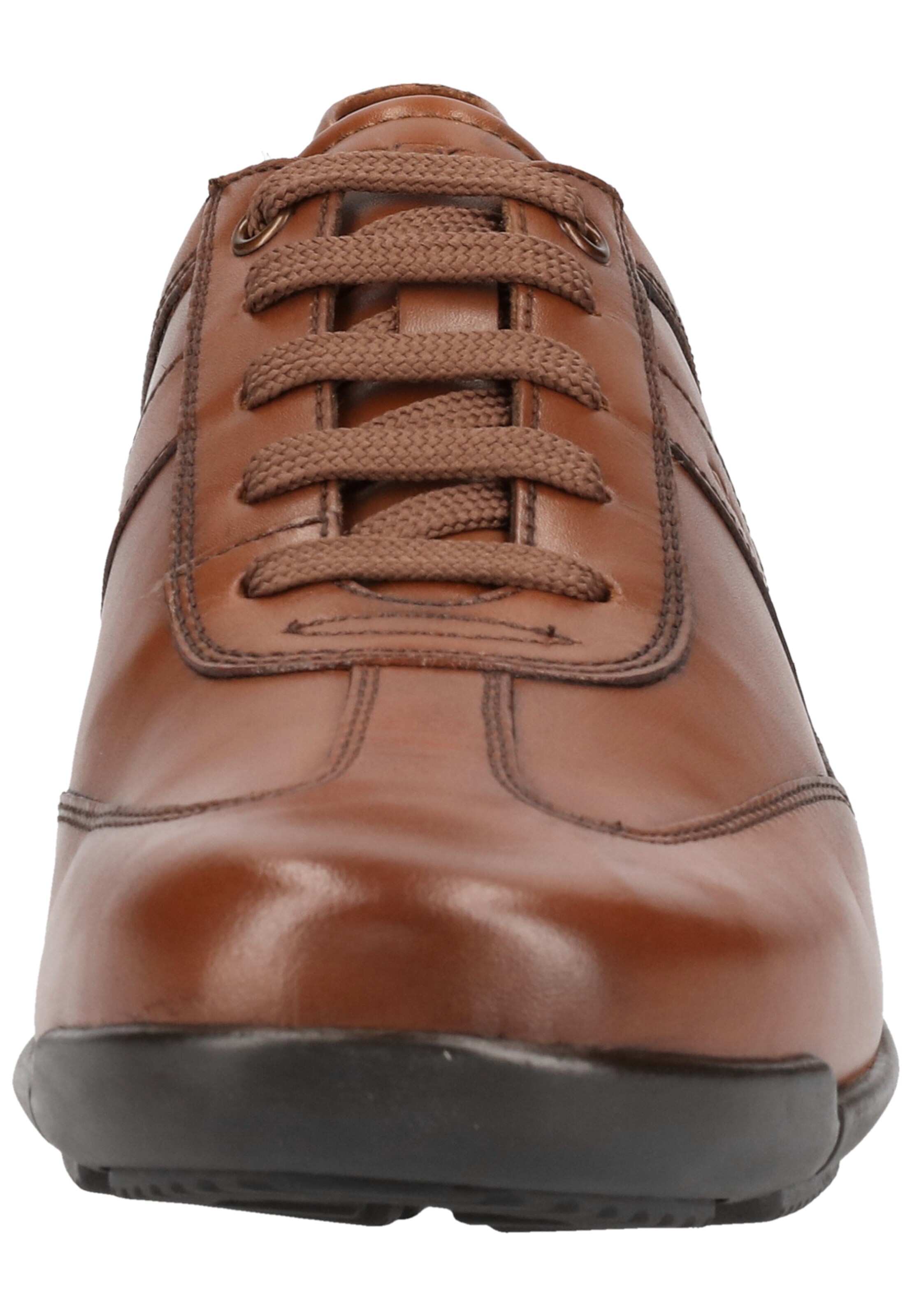 GEOX Sneaker 'Edgeware' in Braun