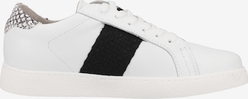 SANSIBAR Sneakers in White