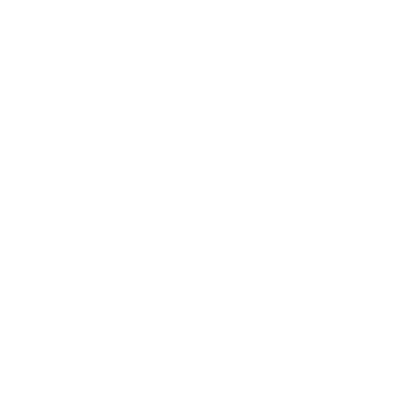 ICEPEAK Logo