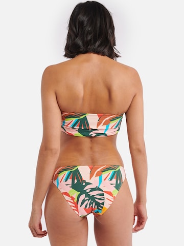 Shiwi Regular Bikinitop 'Frangipani kiki top' in Gemengde kleuren
