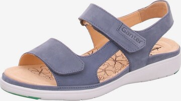 Ganter Sandals in Blue: front