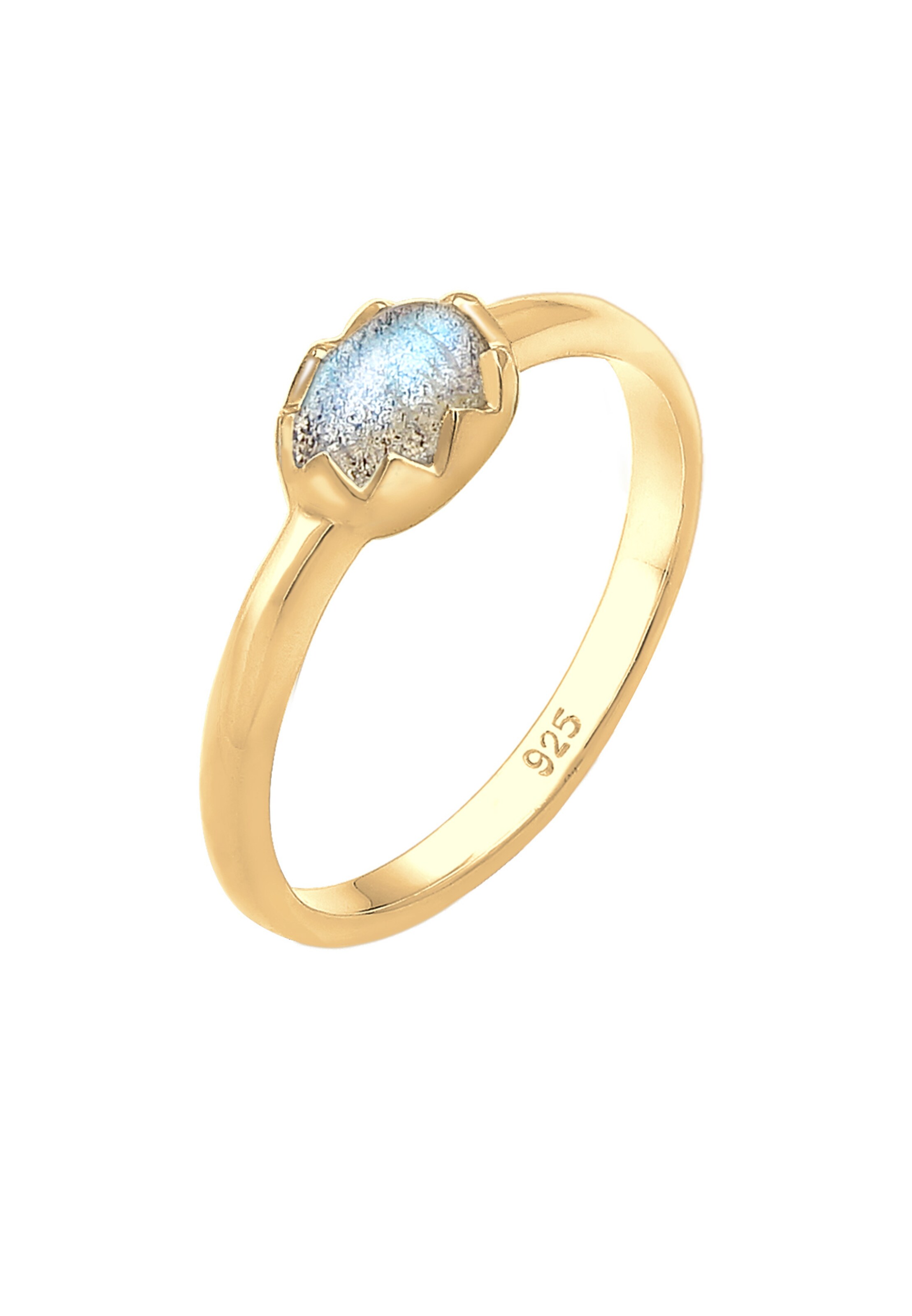ELLI Ring in Gold: front