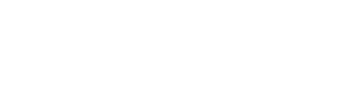 Dilvin Logo