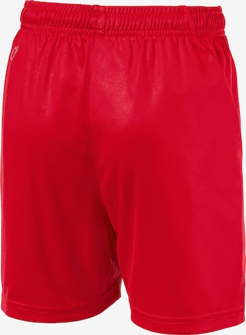 PUMA Regular Workout Pants 'Liga' in Red