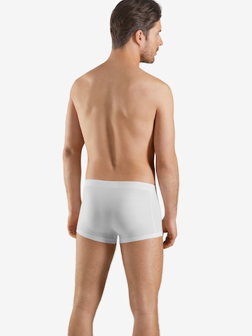 Boxers ' Cotton Superior ' Hanro en blanc