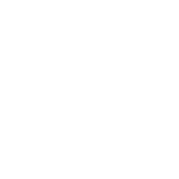 Palladium Logo