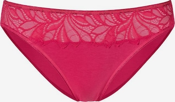 VIVANCE Vivance Jazzpants (5 Stück) in Mischfarben