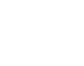 Island Boot Logo
