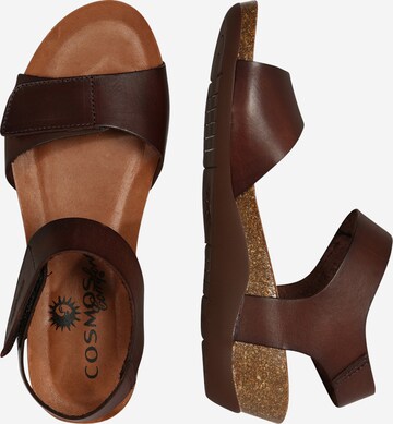 Sandales COSMOS COMFORT en marron