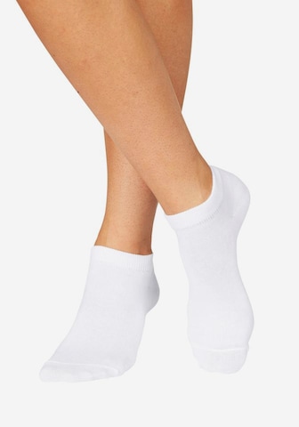 ARIZONA Ankle Socks in White: front